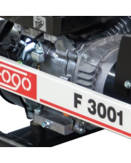 Jednofázový generátor FOGO F 3001 Fogo - Technické údaje:   Rozmery: 580x395x405 mmNapätie:    Hlučnosť: 96 dB(A)Výkon 1~ max / 