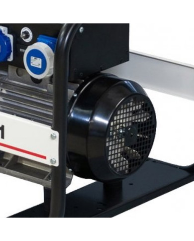 FOGO FH 4541 single-phase generator set Fogo - Technical specifications:  Dimensions: 650x520x490 mm Voltage: 230 V Power Catego