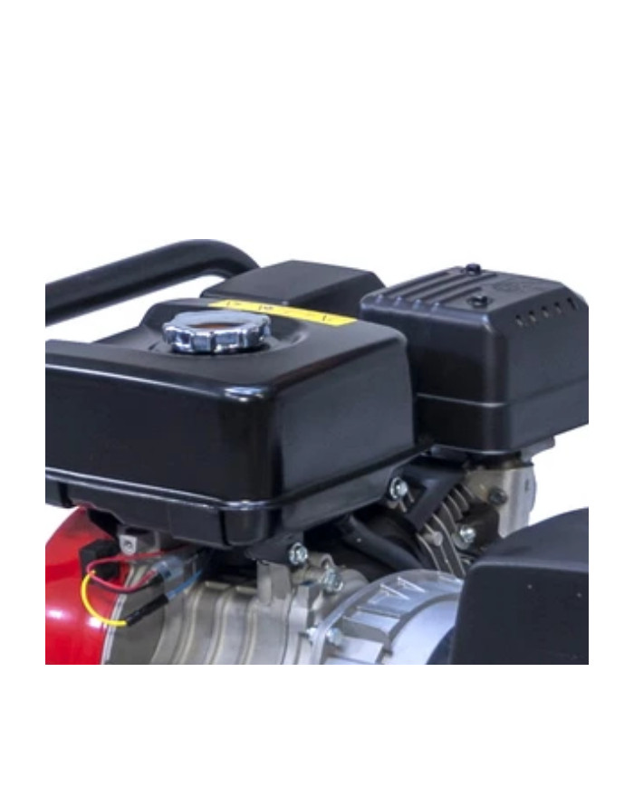 FOGO FM 3001R single-phase generator set Fogo - Specifications:  Dimensions: No Details Voltage: 230 V Power Category: 1 - 6 [kW