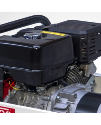 FOGO FM 4001 single-phase generator set Fogo - Specifications:  Dimensions: No Data Voltage: 230 V Power Category: 1 - 6 [kW] 23