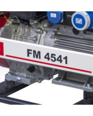 Agregat prądotwórczy jednofazowy FOGO FM 4541 Fogo - Dane techniczne:  Wymiary: Brak Danych Napięcie: 230 V Kategoria Mocy: 1 -  Agregat prądotwórczy jednofazowy FOGO FM 4541 Fogo - Dane techniczne:  Wymiary: Brak Danych Napięcie: 230 V Kategoria Mocy: 1 -