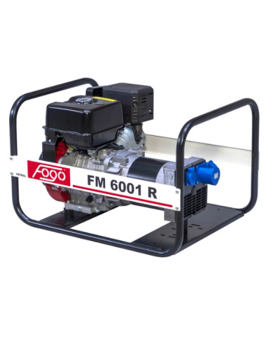 FOGO FM 6001R single-phase generator set Fogo - Specifications:  Dimensions: No Data Voltage: 230 V Power Category: 1 - 6 [kW] 2