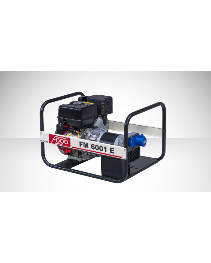 FOGO FM 6001E single-phase generator set Fogo - Specifications:  Dimensions: No Data Voltage: 230 V Power Category: 1 - 6 [kW] 2