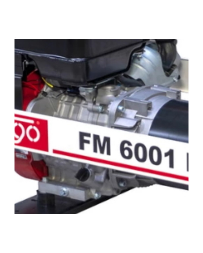 FOGO FM 6001R single-phase generator set Fogo - Specifications:  Dimensions: No Data Voltage: 230 V Power Category: 1 - 6 [kW] 2