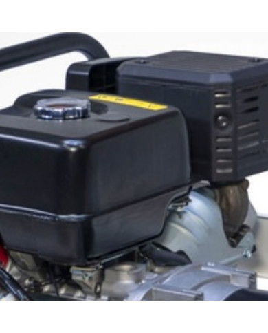 FOGO FM 6001RE single-phase generator set Fogo - Specifications:  Dimensions: No Data Voltage: 230 V Power Category: 1 - 6 [kW] 