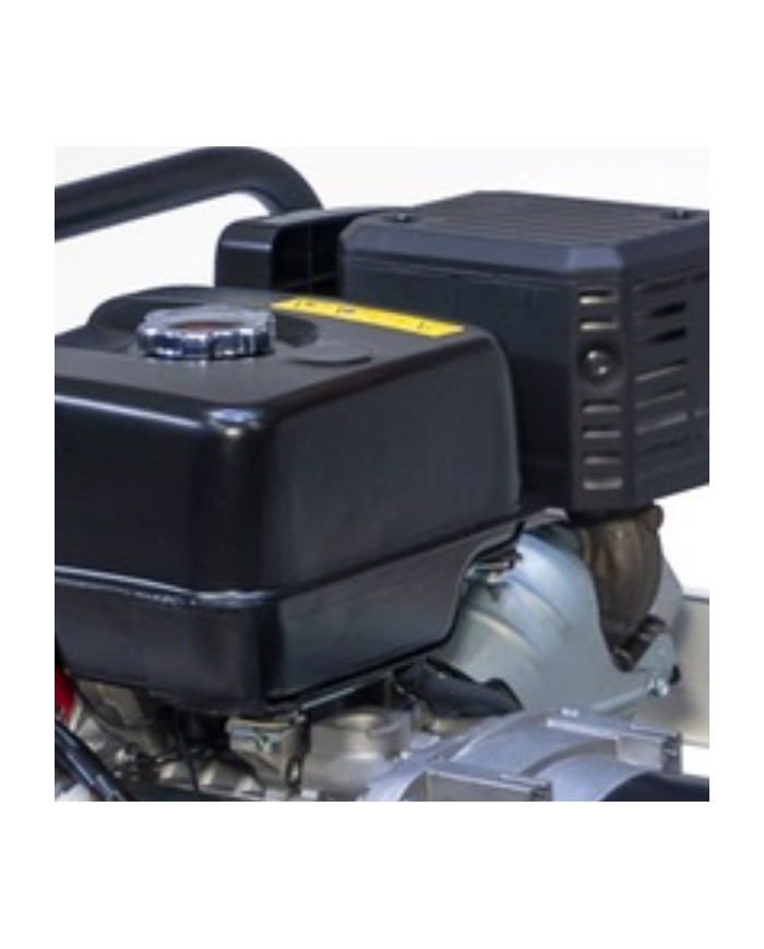 FOGO FM 6001RE single-phase generator set Fogo - Specifications:  Dimensions: No Data Voltage: 230 V Power Category: 1 - 6 [kW] 