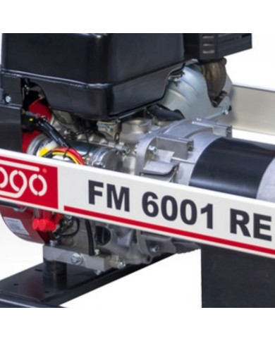 FOGO FM 6001RE single-phase generator set Fogo - Specifications:  Dimensions: No Data Voltage: 230 V Power Category: 1 - 6 [kW] 