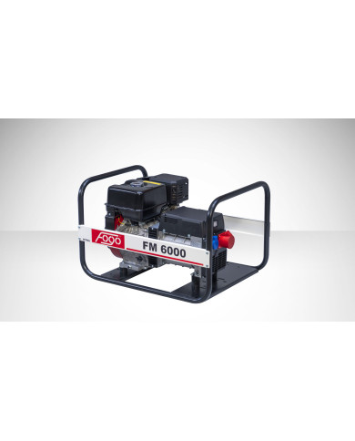 FOGO FM 6000 three-phase generator set Fogo - Specifications:  Dimensions: No Data Voltage: 400/230 V Power Category: 5.0 - 8.7 