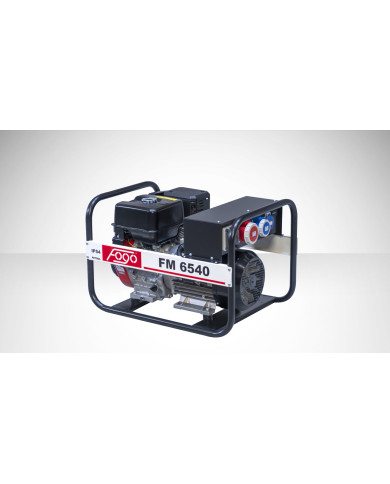 FOGO FM 6540 three-phase generator set Fogo - Specifications:  Dimensions: No Data Voltage: 400/230 V Power Category: 5.0 - 8.7 