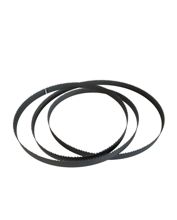 Brzeszczot węglikowy do Porothermu dla Dr Schulze BAS650  -  Brzeszczot węglikowy do Porothermu dla Dr Schulze BAS650  -