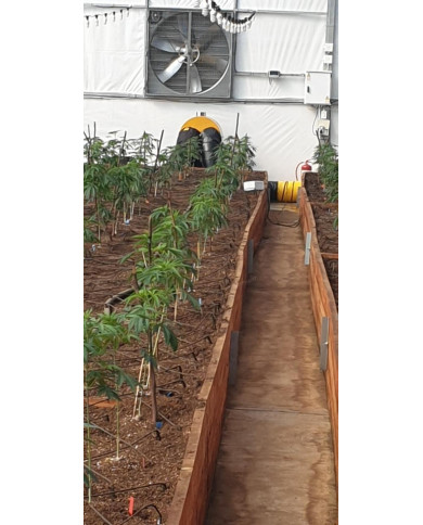 Master BV 400 oil heater with exhaust outlet Master Heaters -      Technical Data:       Tank capacity [ l ]: 150     Airflow [ 