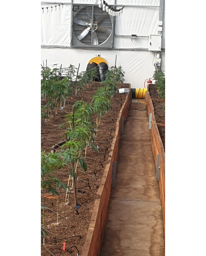 Nagrzewnica olejowa z odprowadzeniem spalin Master BV 400 Master Heaters -      Technické údaje:       Objem nádrže [ l ]: 150  