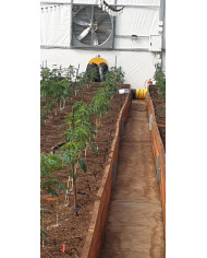 Nagrzewnica olejowa z odprowadzeniem spalin Master BV 400 Master Heaters -      Technické údaje:       Objem nádrže [ l ]: 150  