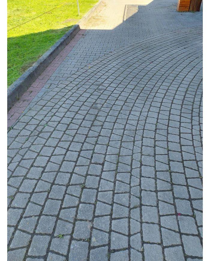 Viacúčelová brúska SCHWAMBORN STR 703 Schwamborn - Technické údaje:   Výkonmotora: Honda GX160     H motnosť: 59 kgTyp: spaľovac Viacúčelová brúska SCHWAMBORN STR 703 Schwamborn - Technické údaje:   Výkonmotora: Honda GX160     H motnosť: 59 kgTyp: spaľovac