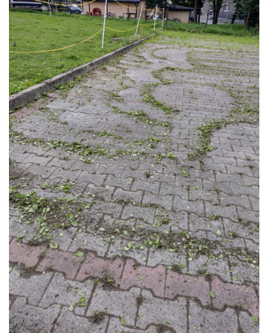 Root|Sklep Toolsa.eu