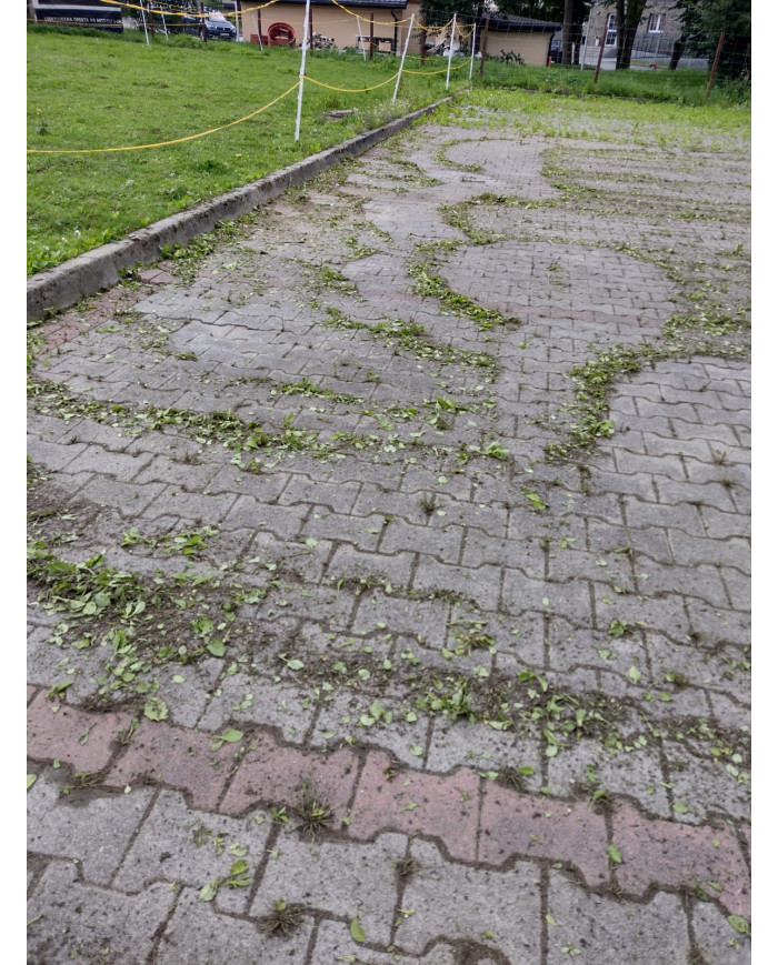 SCHWAMBORN STR 703 multi-tasking grinder Schwamborn - Specifications:  Engine: Honda GX160 Engine Power: 3.9 kW Weight: 59 kg Ty SCHWAMBORN STR 703 multi-tasking grinder Schwamborn - Specifications:  Engine: Honda GX160 Engine Power: 3.9 kW Weight: 59 kg Ty