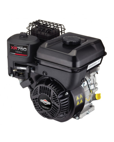 Silnik spalinowy Briggs&Straton XR750 - I/C Briggs & Stratton - Technical data:  Weight: 15.5kg Dimensions: length 259 x width 3